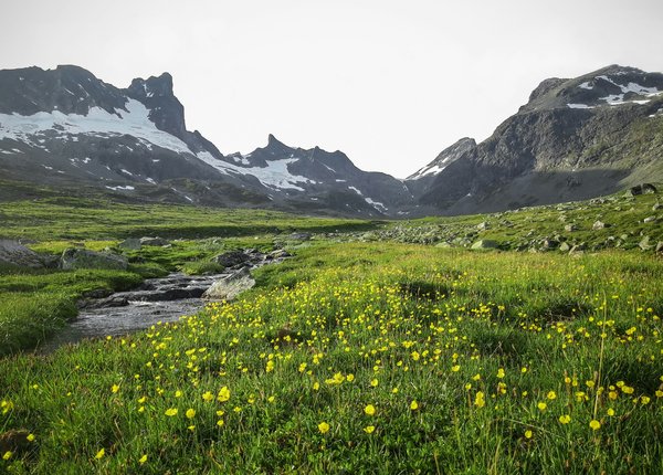 Comment planifier une expédition de vélo de montagne dans les Alpes françaises ?