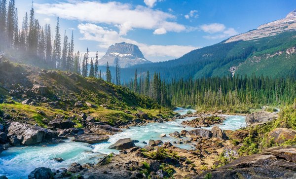 Où faire une randonnée dans le parc national des Glaciers, Canada ?